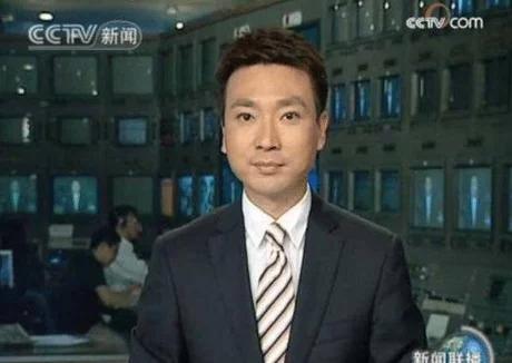 我最喜欢的节目主持人,央视主持人排名前十名都有谁