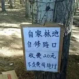 鎬庢牱涔颁竴搴ф棤浜哄矝,鐪熷疄鐨勬棤浜哄矝