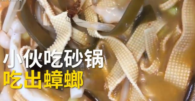 “好歹把碗换一下吧!”砂锅吃出蟑螂,重做后竟端出同一个碗