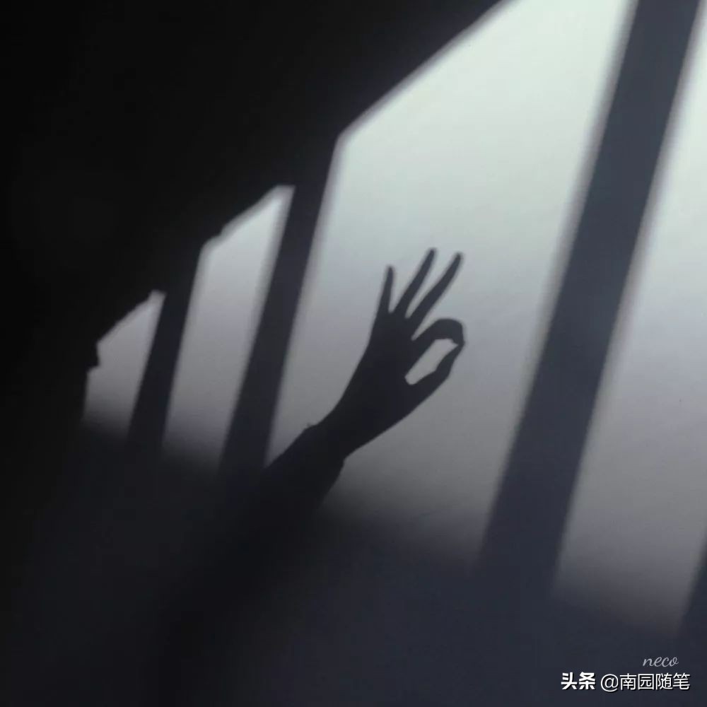 世界尽头与冷酷仙境书籍,书籍的力量名言名句