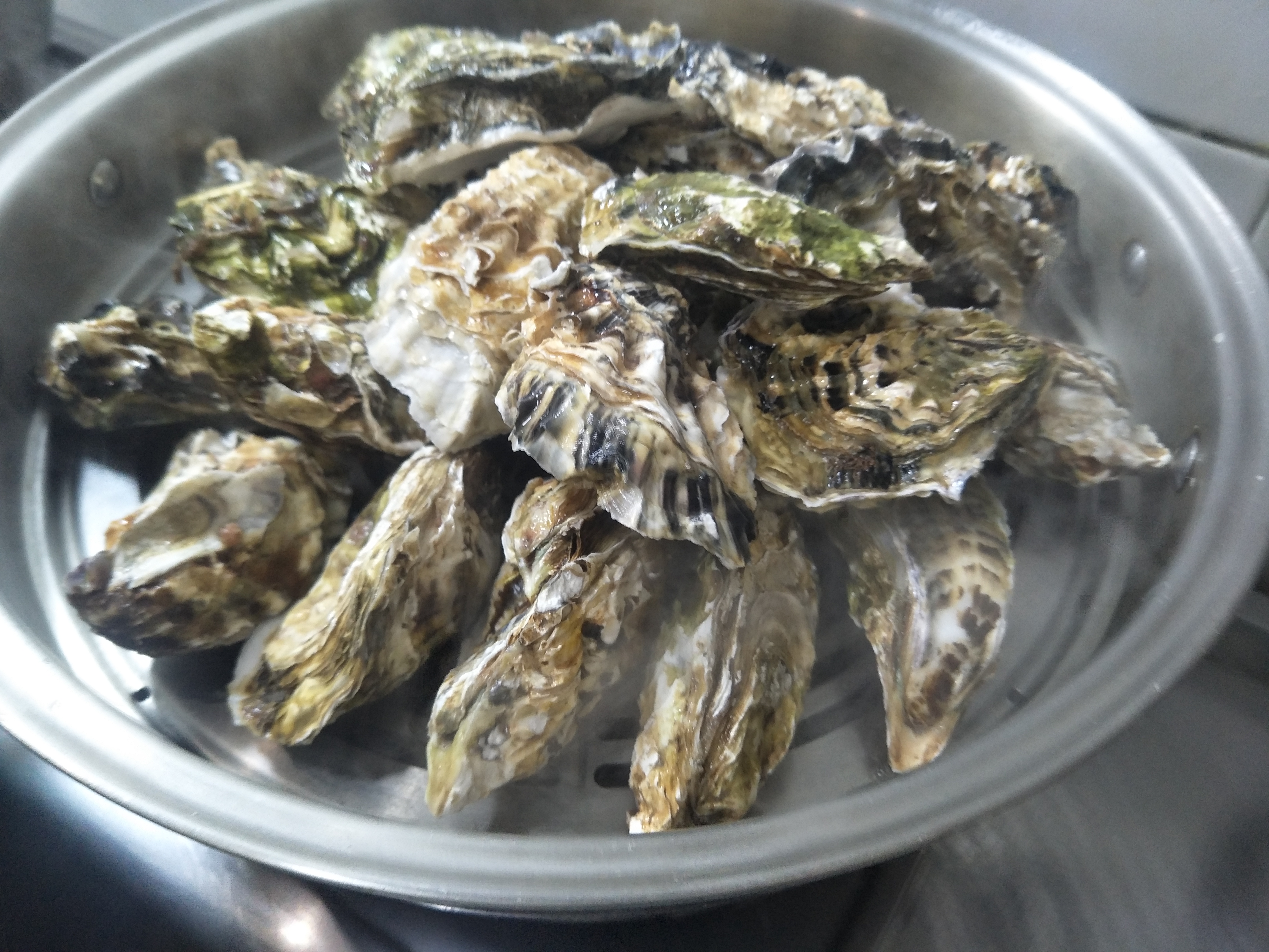 蒸生蚝冷水下锅还是热水,蒸生蚝和扇贝用冷水还是开水