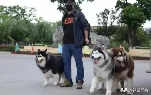 大v店怎么购物,大v实体店成都