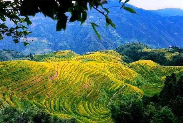 全部的成语收藏起来回家教给孩子,如何和孩子一起积累成语