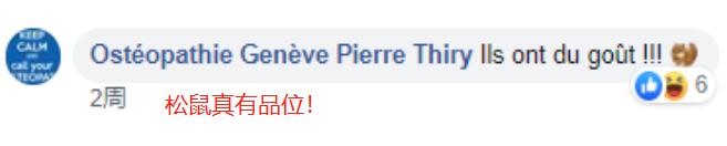 用保时捷911来存粮食，在瑞士连松鼠的生活品质都那么高