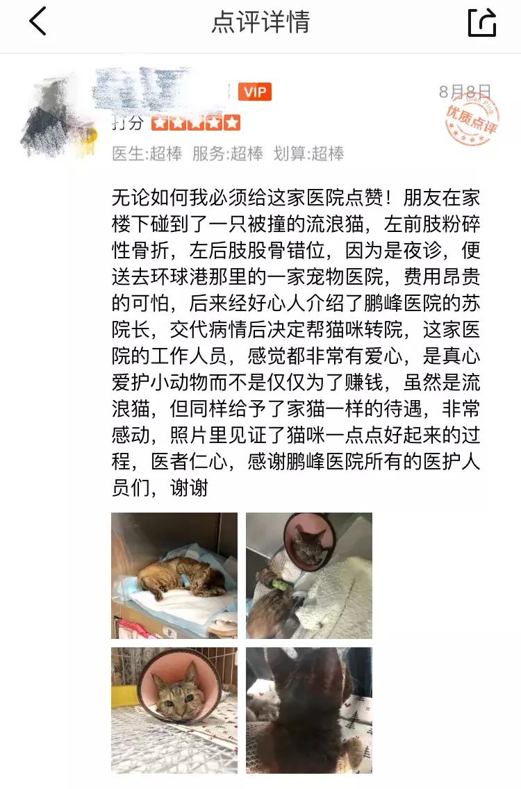 安安宠医罗湾路分院,安安宠医2019