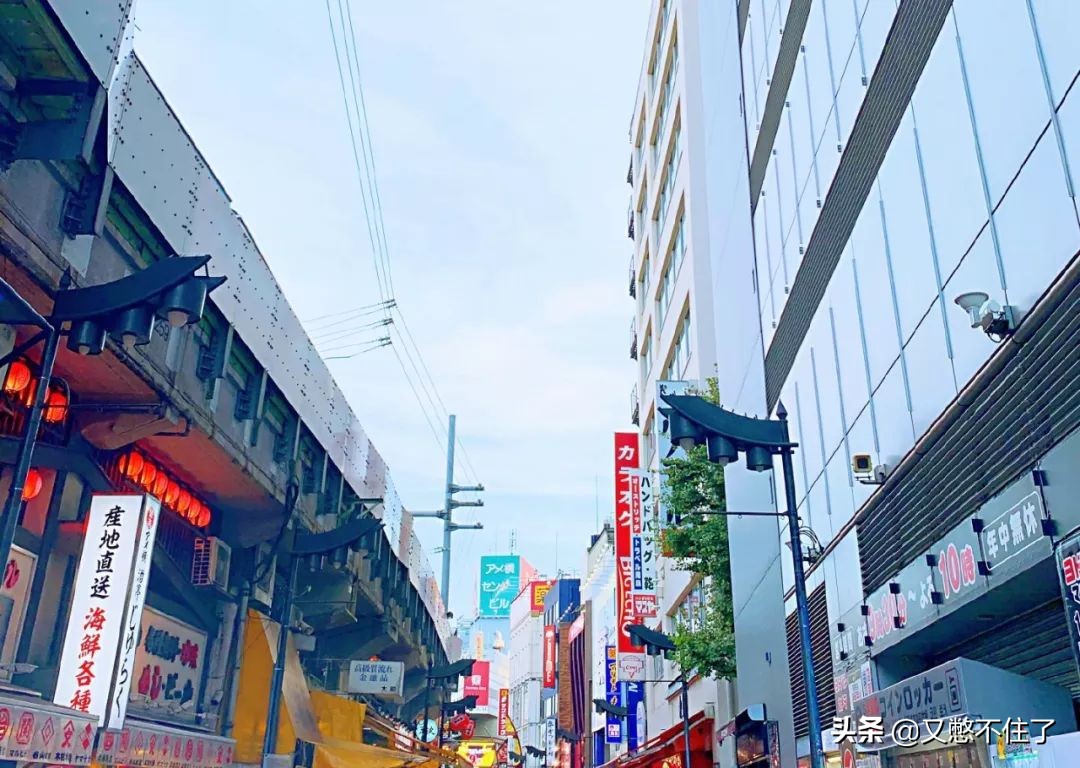 欧阳娜娜最值得购买的东西,欧阳娜娜去日本药妆店