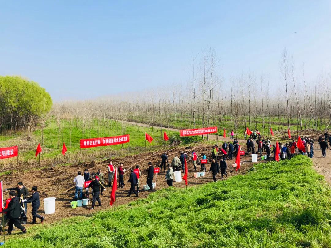 武汉植树高峰期,植树浪潮