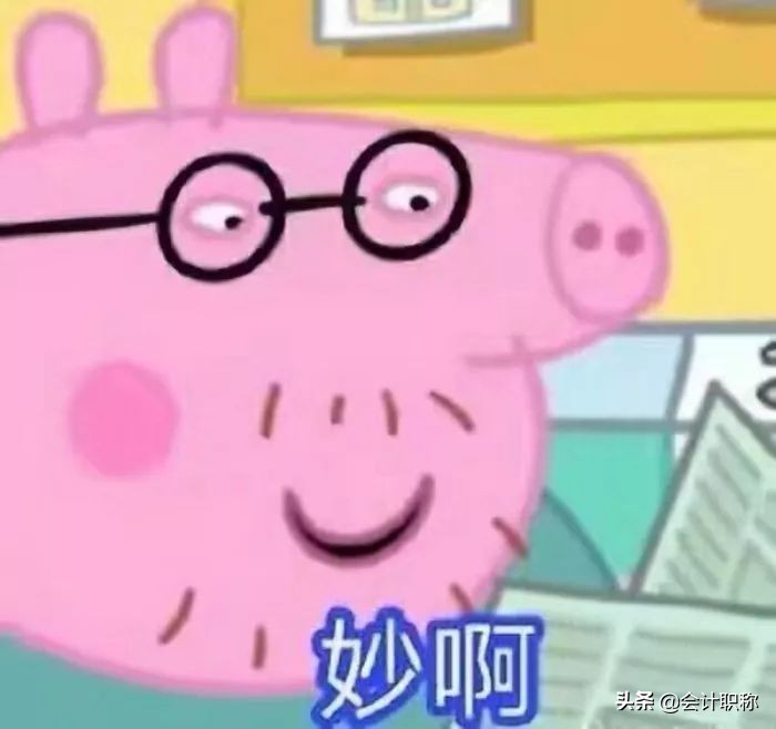 事务所和企业会计哪个好,做会计去事务所好还是公司好