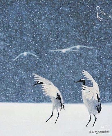 刘岚先生作品欣赏,画家刘岚作品