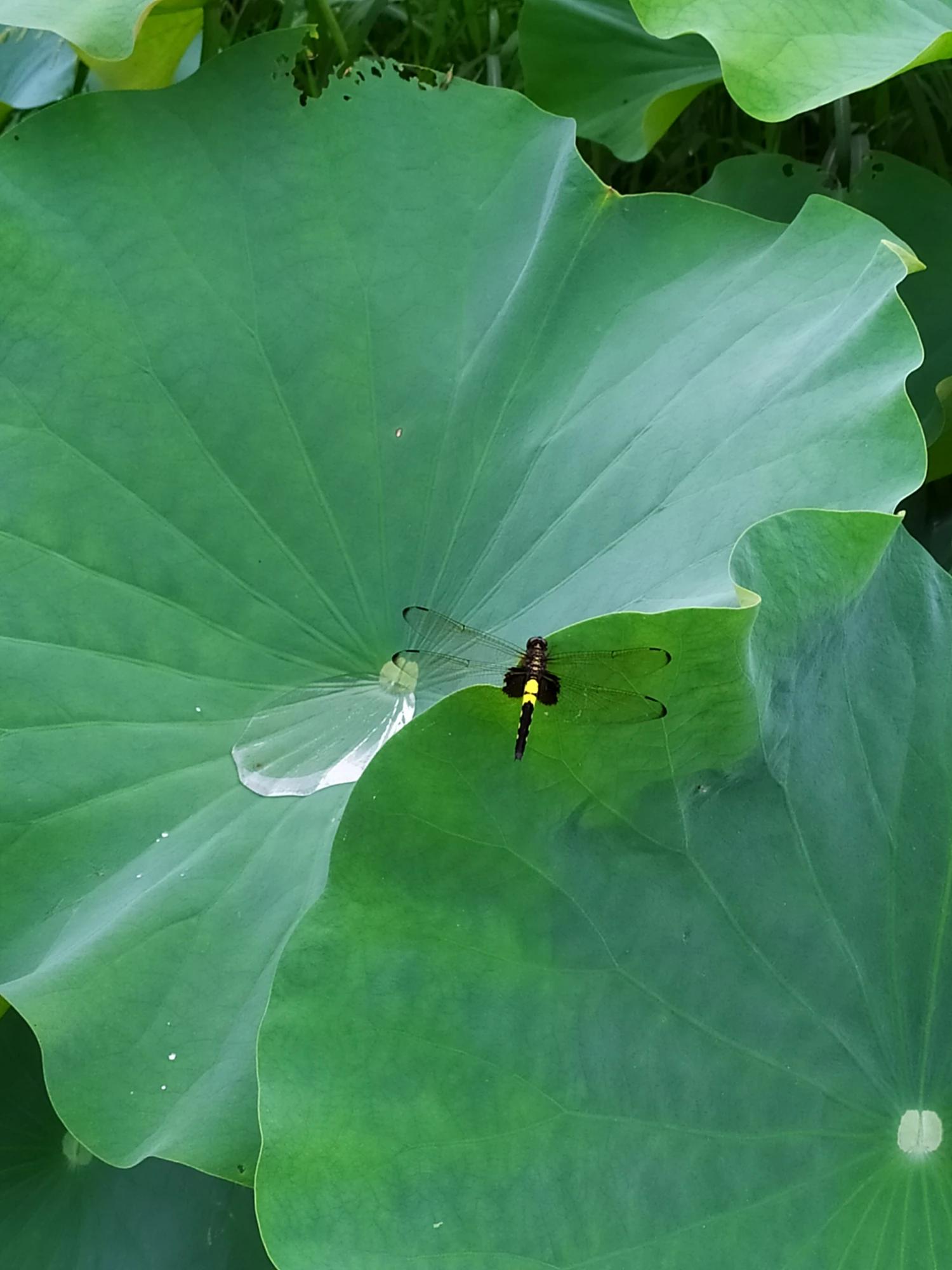 科学爱她，健康爱她