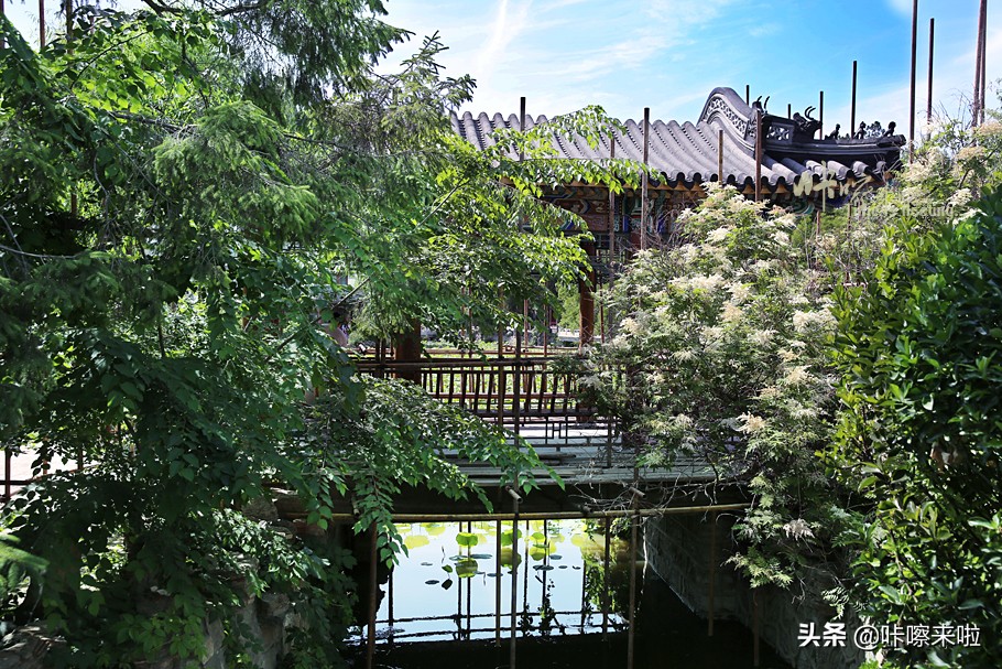 保定古莲花池是皇家园林,保定古莲花池始建于哪个朝