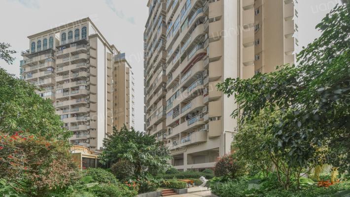 深圳女孩生猛买涨楼市,卖房的靓妹