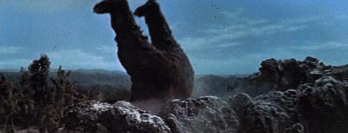 上映10天票房破10亿，哥斯拉比小栗旬更顶流