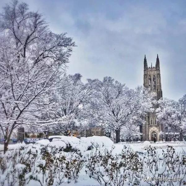 藤博士,藤博士美国大学