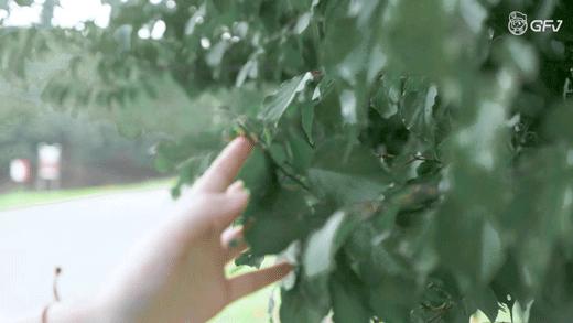 春日野餐记完整版,春日野餐记录视频