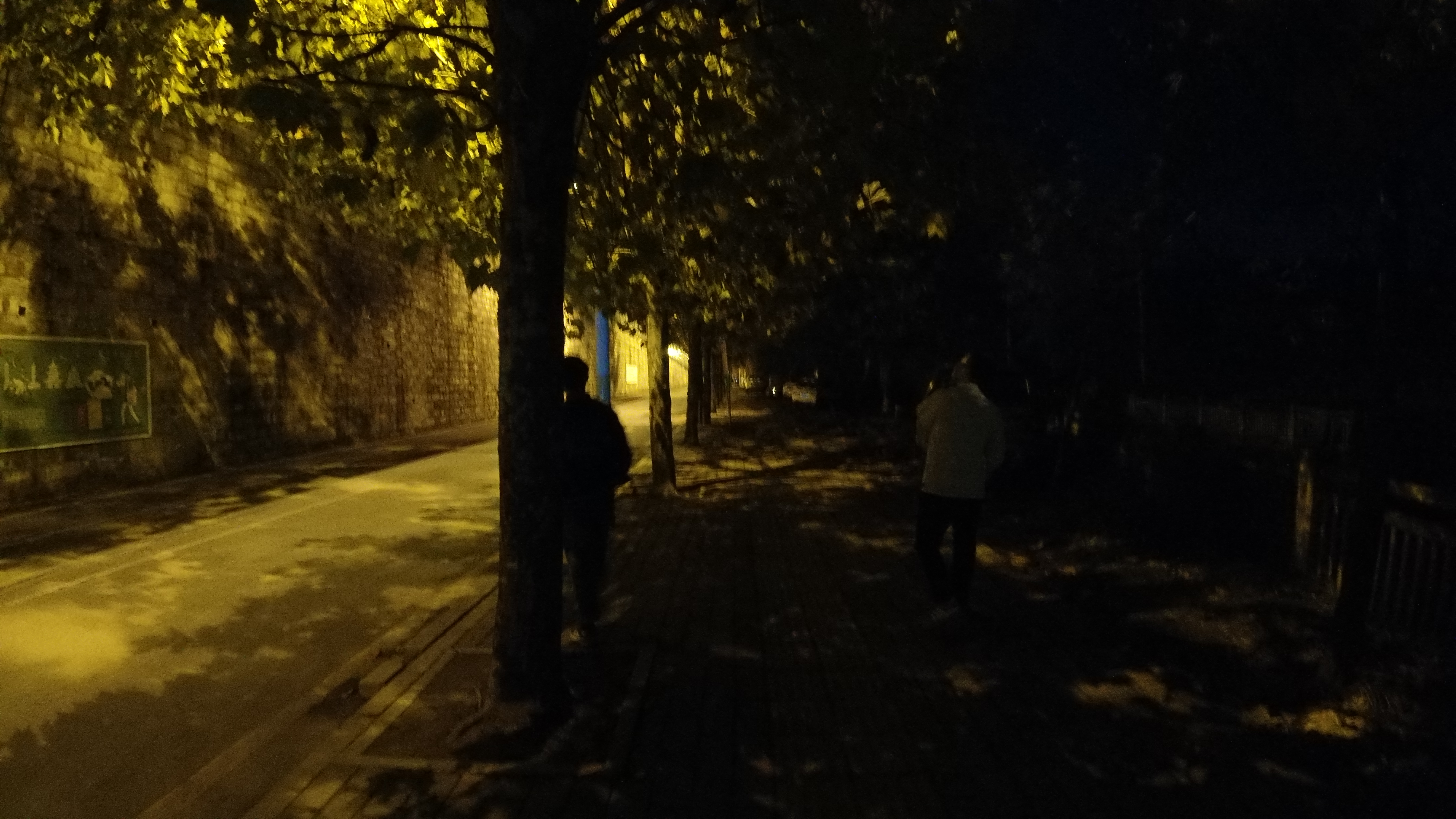 绿化把路灯挡住了怎么投诉,路边绿化带挡住人行道可以投诉吗