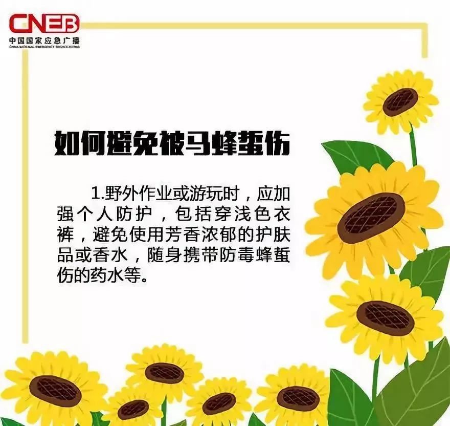 被马蜂蛰过敏性休克的急救措施,儿童被马蜂蛰了看不到毒刺