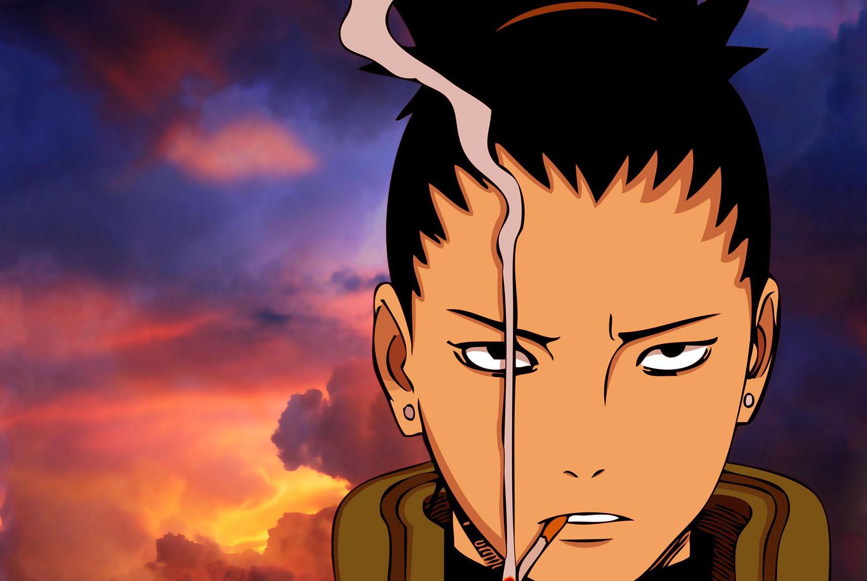 火影忍者主线剧情目录,火影忍者主要剧情集数目录