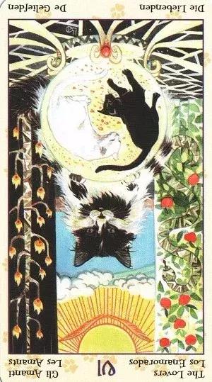 选一张牌看下一个人的感情,凭你第一直觉选一张牌金木水火土