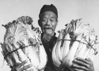 正宗酸菜鱼的酸菜怎么腌制,如何经营酸菜鱼