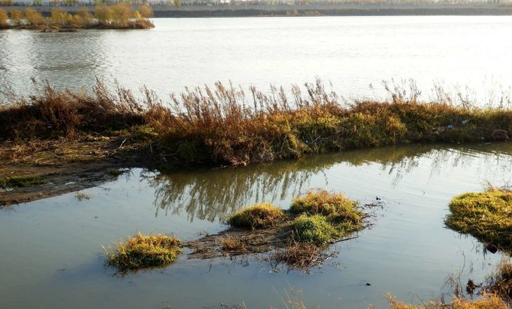 衰老的皮肤从缺水开始,干涸的水塘