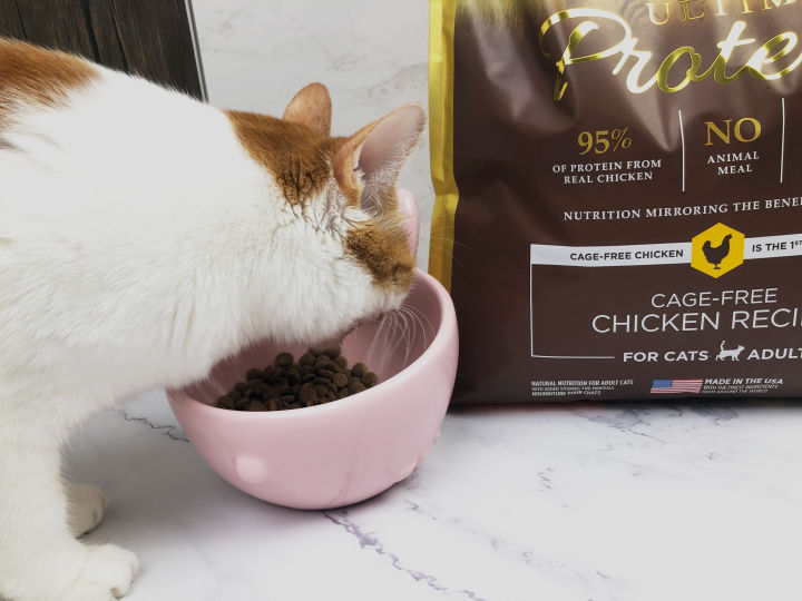 尼可多多猫粮靠谱吗,比乐猫粮官网靠谱吗