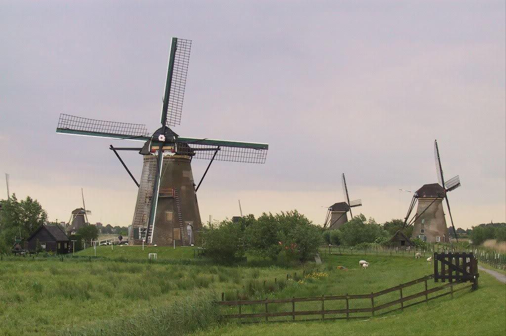 罕见的25面额纸币，17世纪的科学家出现在风车王国的钞票上