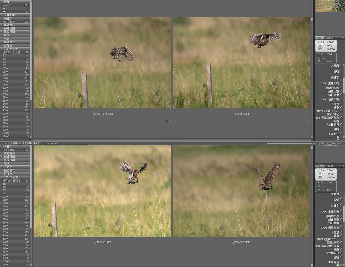 尼康nikond850拍摄视频,摄影器材篇尼康d850