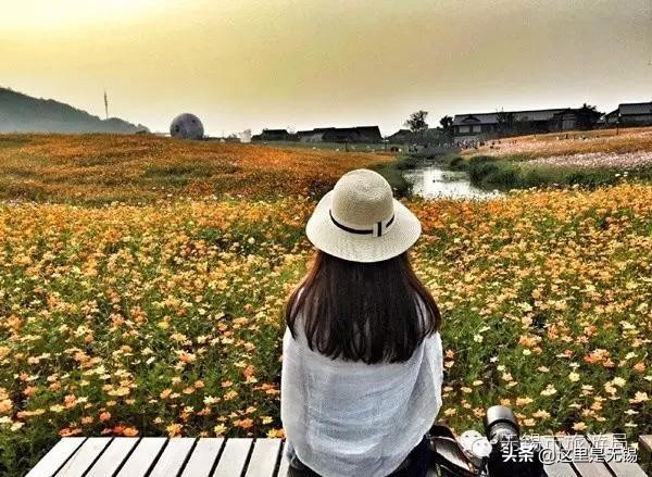 无锡秋游胜地最全推荐,无锡秋游自驾绝佳去处