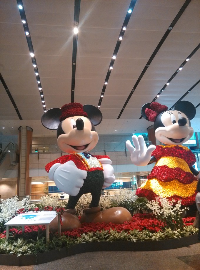 想去新加坡玩需要做什么,想去新加坡旅游什么值得买