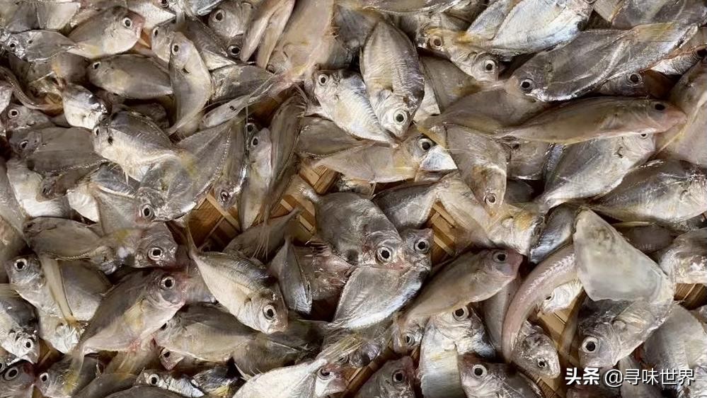 买鱼食内行人专买这十种纯海鱼,内行人就买这5种鱼