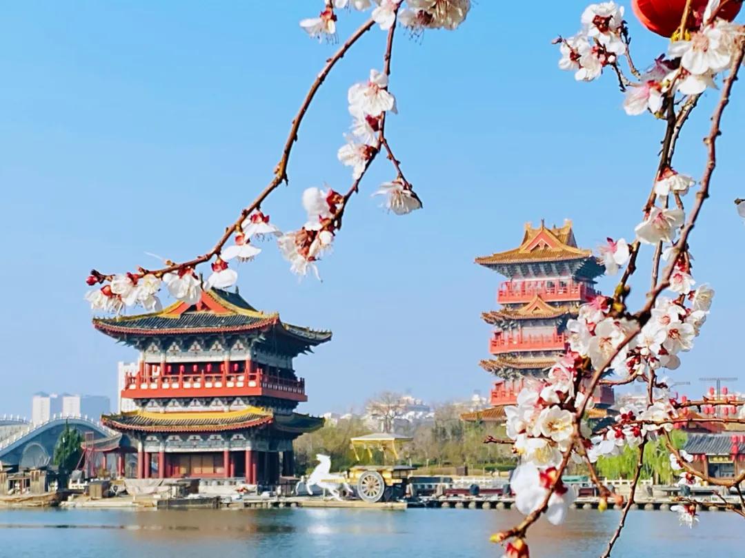 清明上河园终身年卡在哪里购买,清明上河园年票能升级终身票吗