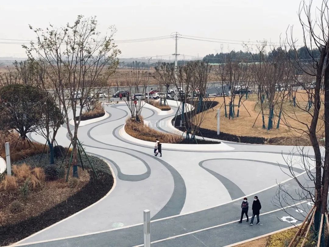 东南西北修公园大PK：城东，成华更凶还是龙泉更猛？