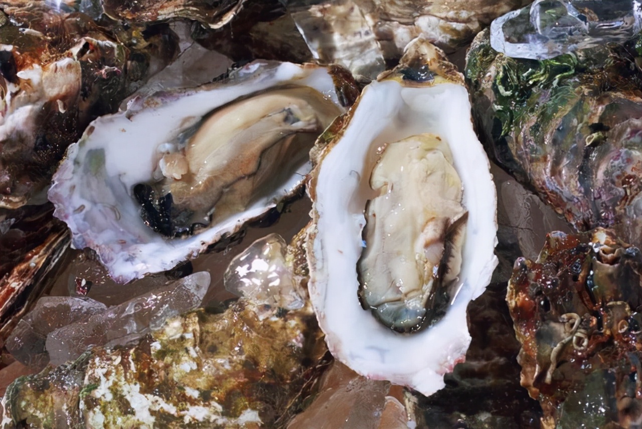 男性腿毛稀少是肾不好吗,男性腿毛少代表什么