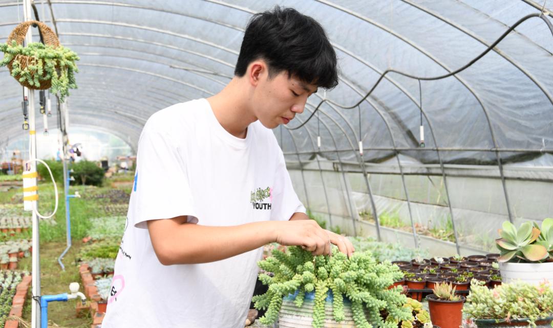 成都新都区军屯镇郭家村,成都新都军屯郭家村