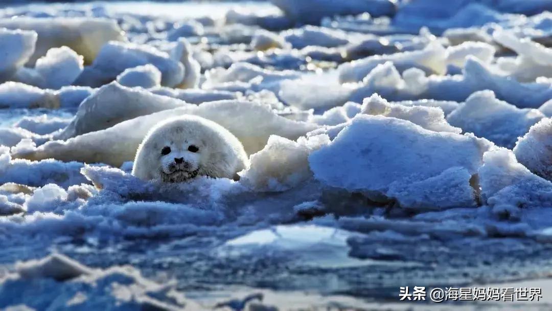 假期最值得看的四部纪录片,适合暑假看的5部神级纪录片