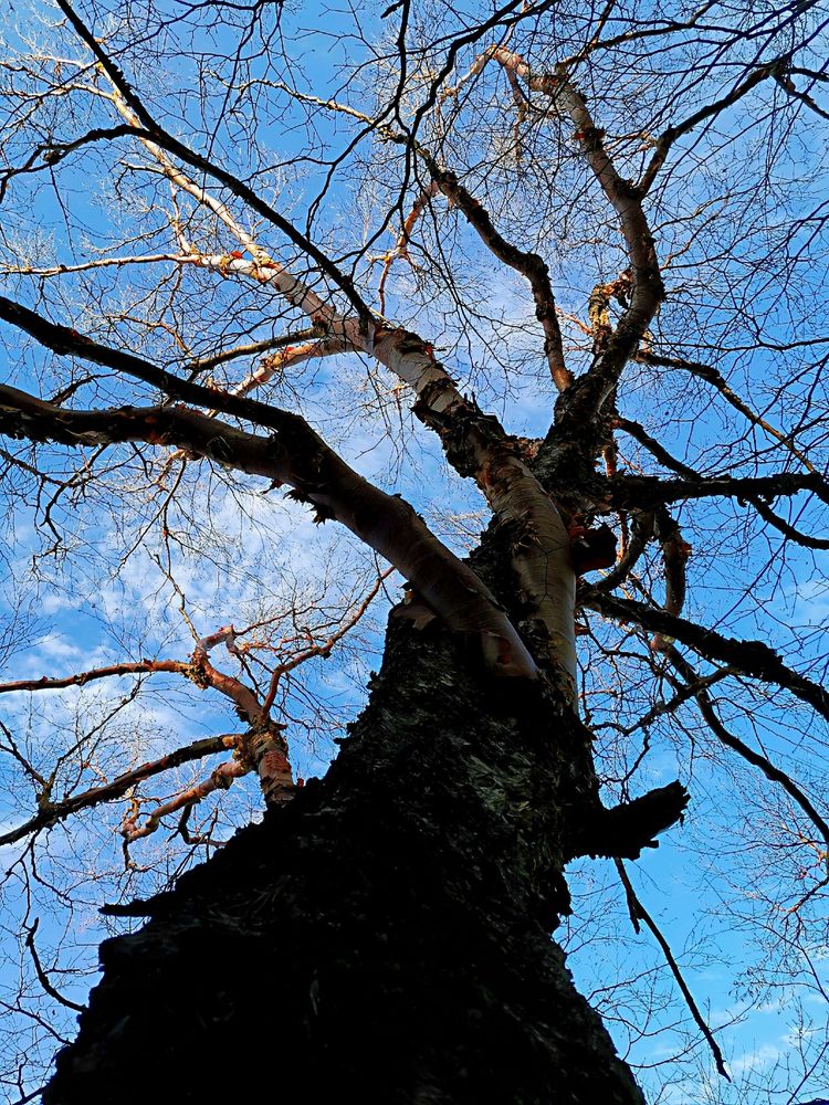 20201101惊悚之行~首阳山大坪梁单日横穿+原返