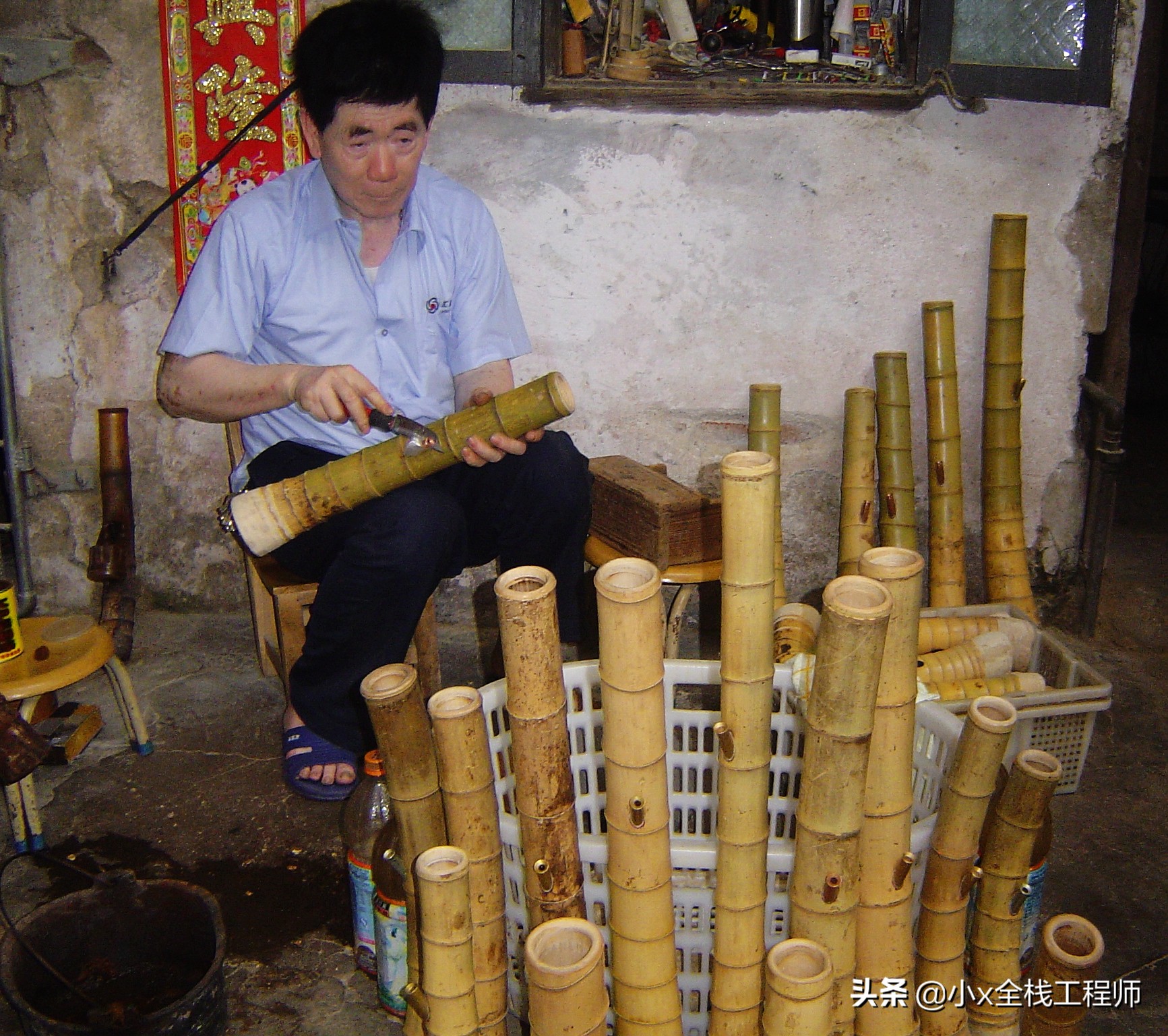 这个就是湛江的大碌竹又叫水烟筒