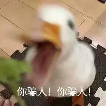 德妃紫苏水跟黛珂紫苏水哪个好用,德妃的紫苏水跟黛珂紫苏水的区别