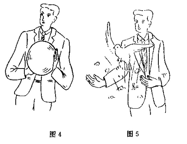 魔术报纸变鸽子揭秘,魔术中变鸽子是怎么变出来的