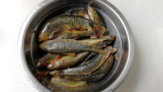 广西巴马长寿村真的适合养生吗,巴马长寿村养生基地