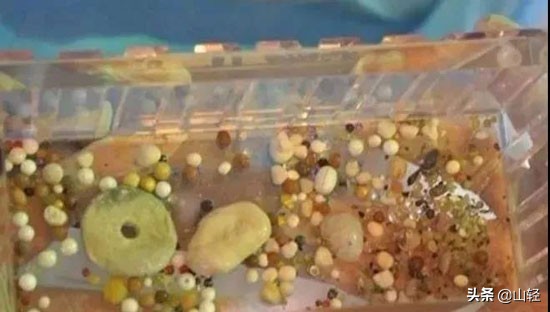 舍利子到底是怎么形成的,得道高僧死后为什么有舍利子