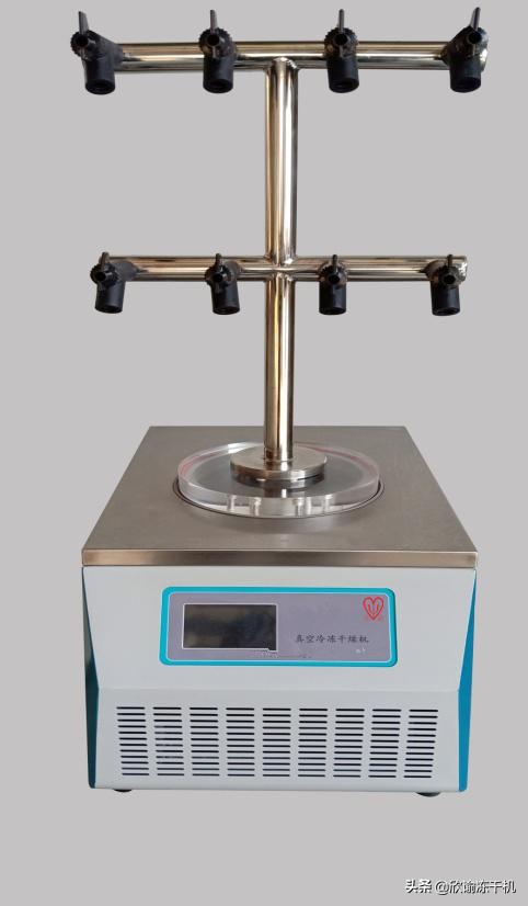 t型真空冷冻干燥机,实验室真空冷冻干燥机生产
