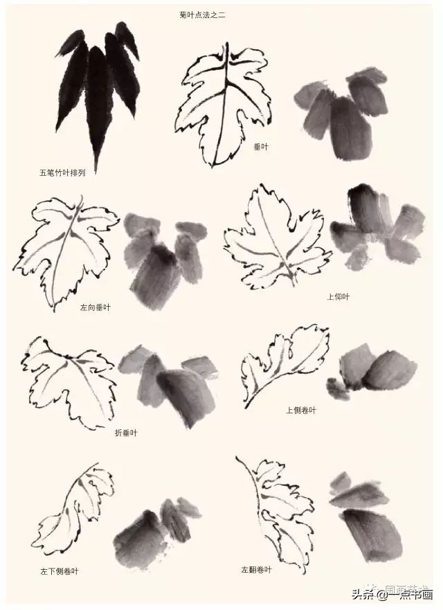 怎样画菊花国画,徐湛画菊花国画入门教程