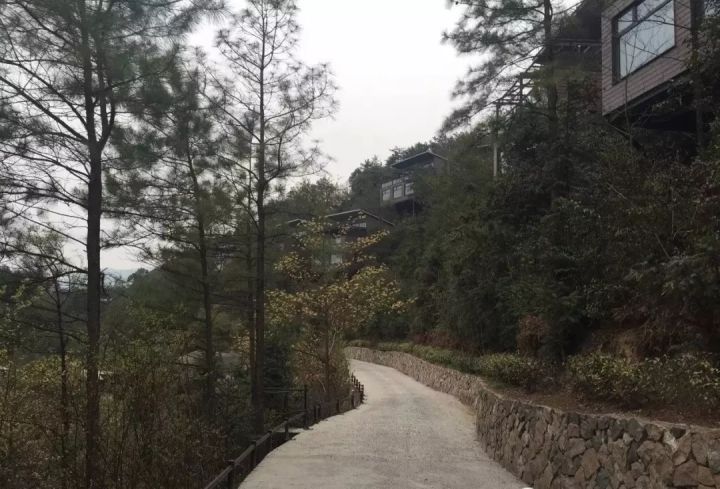 写文章从裸心乡到裸心谷,深度解读中国野奢度假头牌项目:裸心谷