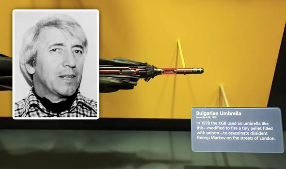 蓖麻子的籽是剧毒吗,蓖麻有毒的地方