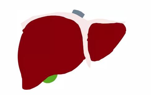 乙肝加重度脂肪肝严重吗,乙肝脂肪肝肝郁气滞