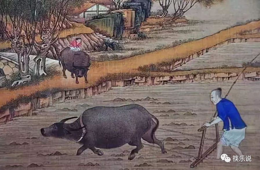 老七谁演的,老七跟何辅堂