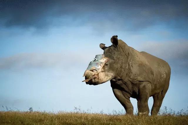 只为一串佛珠,他活剥了我妈的皮:人心有多可怕,你根本想象不到