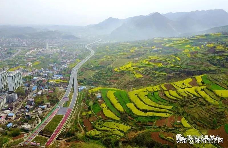 我叫成县，这是我2019年的自拍照